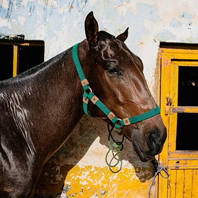 VPN Edge - 2月14日20.5M/S|免费Singbox节点/Shadowrocket节点/SSR节点/Trojan节点/Clash节点/V2ray节点节点推荐，V2rayC梯子购买推荐