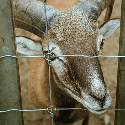 VPN Edge - 1月29日23M/S|免费Clash节点/Shadowrocket节点/SSR节点/V2ray节点/Singbox节点/Trojan节点节点推荐，V2rayC梯子购买推荐